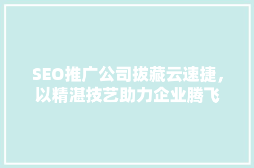 SEO推广公司拔藏云速捷，以精湛技艺助力企业腾飞