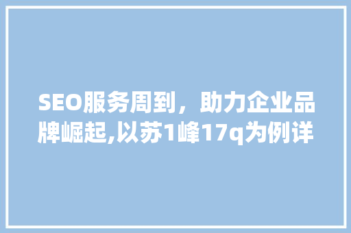 SEO服务周到，助力企业品牌崛起,以苏1峰17q为例详细