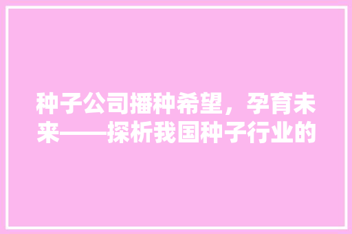 种子公司播种希望，孕育未来——探析我国种子行业的崛起与发展