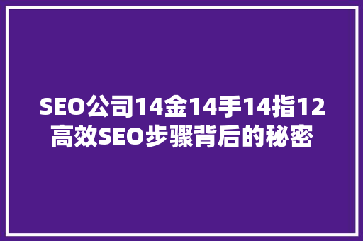 SEO公司14金14手14指12高效SEO步骤背后的秘密