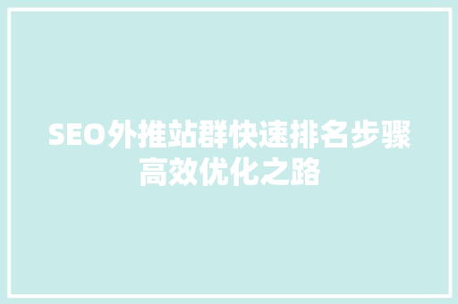 SEO外推站群快速排名步骤高效优化之路