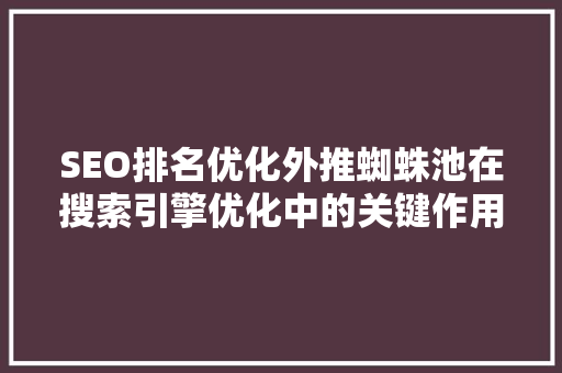 SEO排名优化外推蜘蛛池在搜索引擎优化中的关键作用