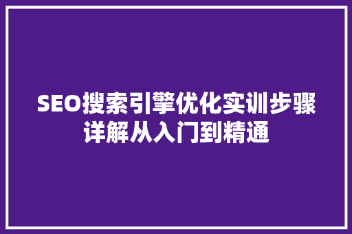 SEO搜索引擎优化实训步骤详解从入门到精通
