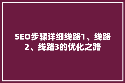 SEO步骤详细线路1、线路2、线路3的优化之路