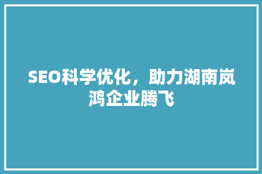 SEO科学优化，助力湖南岚鸿企业腾飞