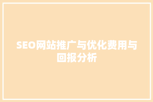 SEO网站推广与优化费用与回报分析