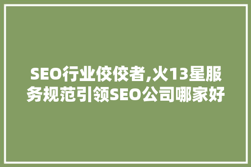 SEO行业佼佼者,火13星服务规范引领SEO公司哪家好