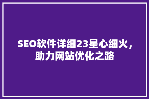 SEO软件详细23星心细火，助力网站优化之路