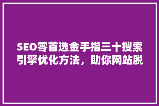 SEO零首选金手指三十搜索引擎优化方法，助你网站脱颖而出