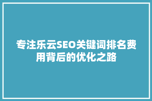 专注乐云SEO关键词排名费用背后的优化之路