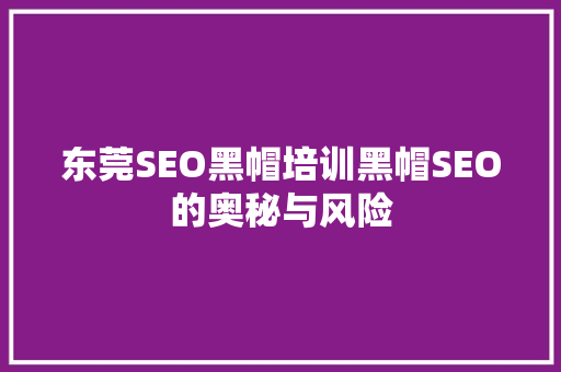 东莞SEO黑帽培训黑帽SEO的奥秘与风险