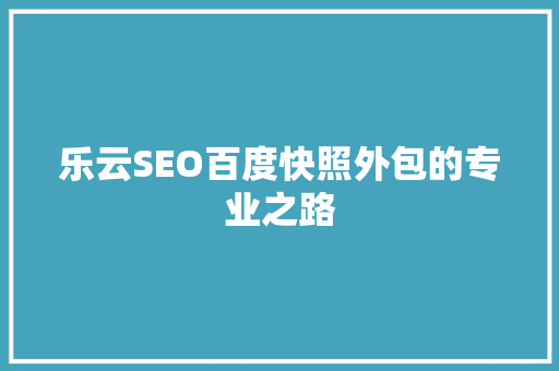 乐云SEO百度快照外包的专业之路