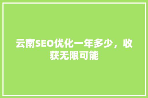 云南SEO优化一年多少，收获无限可能