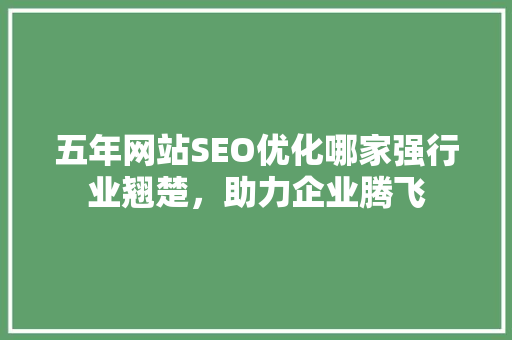 五年网站SEO优化哪家强行业翘楚，助力企业腾飞