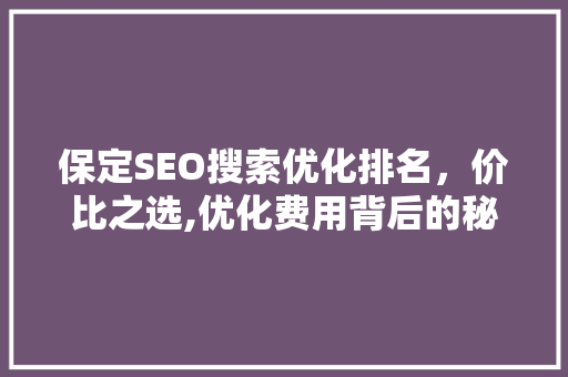保定SEO搜索优化排名，价比之选,优化费用背后的秘密