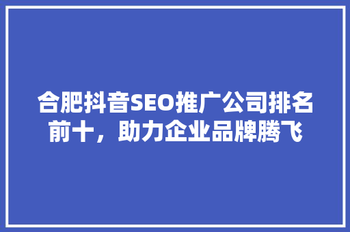 合肥抖音SEO推广公司排名前十，助力企业品牌腾飞