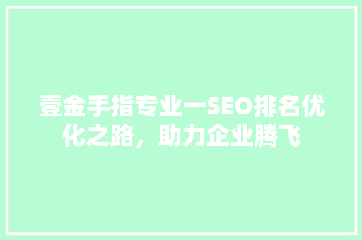 壹金手指专业一SEO排名优化之路，助力企业腾飞