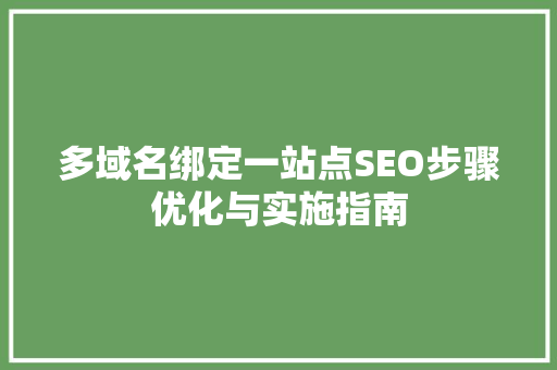 多域名绑定一站点SEO步骤优化与实施指南