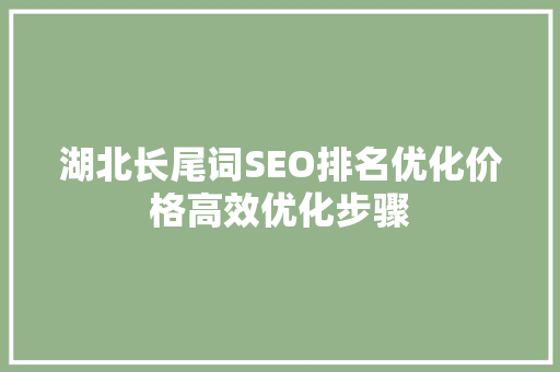 湖北长尾词SEO排名优化价格高效优化步骤