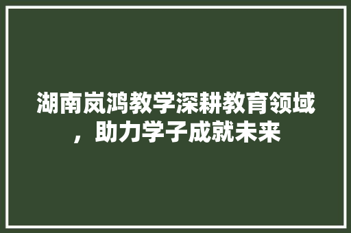 湖南岚鸿教学深耕教育领域，助力学子成就未来
