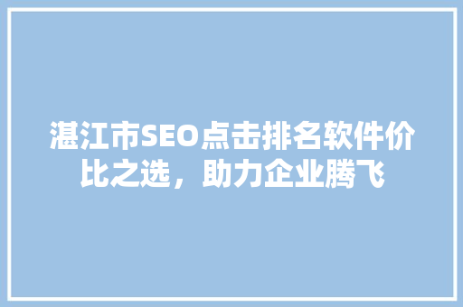 湛江市SEO点击排名软件价比之选，助力企业腾飞