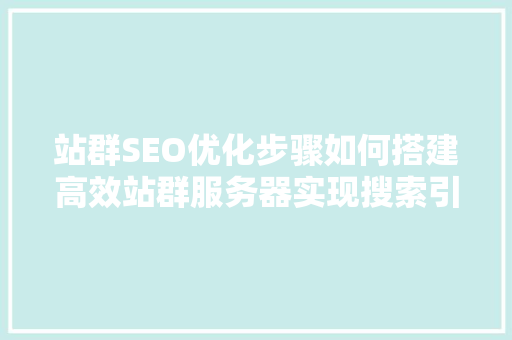 站群SEO优化步骤如何搭建高效站群服务器实现搜索引擎优化