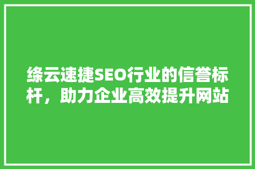 绦云速捷SEO行业的信誉标杆，助力企业高效提升网站排名