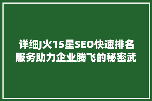 详细J火15星SEO快速排名服务助力企业腾飞的秘密武器