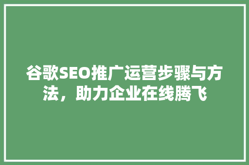 谷歌SEO推广运营步骤与方法，助力企业在线腾飞