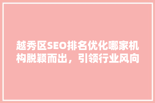 越秀区SEO排名优化哪家机构脱颖而出，引领行业风向标