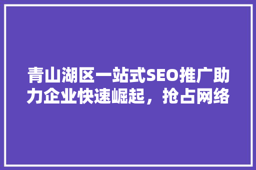 青山湖区一站式SEO推广助力企业快速崛起，抢占网络市场先机