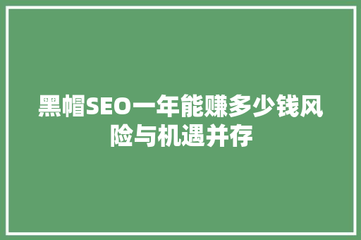 黑帽SEO一年能赚多少钱风险与机遇并存