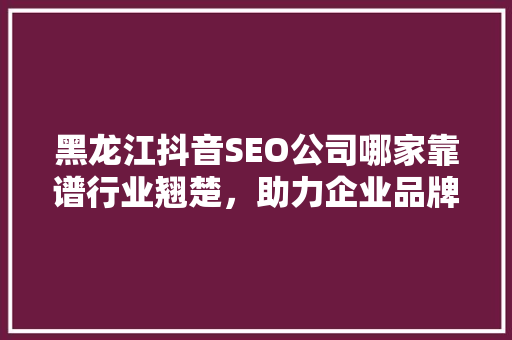 黑龙江抖音SEO公司哪家靠谱行业翘楚，助力企业品牌腾飞