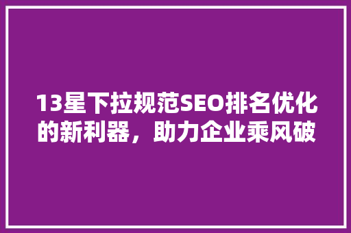 13星下拉规范SEO排名优化的新利器，助力企业乘风破浪
