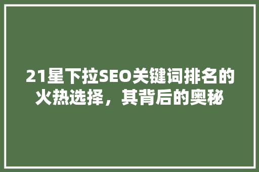 21星下拉SEO关键词排名的火热选择，其背后的奥秘