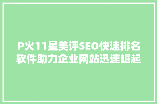 P火11星美评SEO快速排名软件助力企业网站迅速崛起的利器