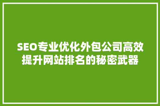 SEO专业优化外包公司高效提升网站排名的秘密武器