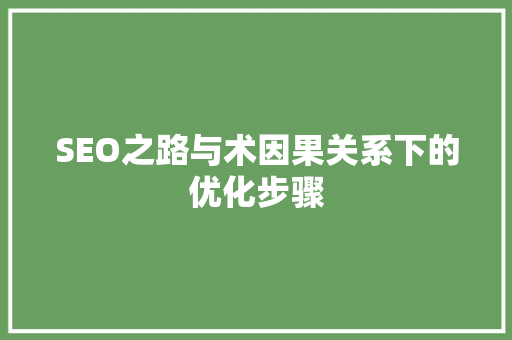 SEO之路与术因果关系下的优化步骤