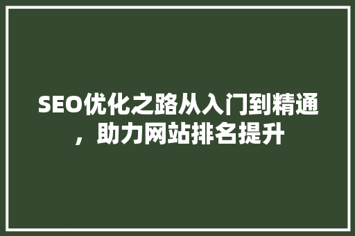SEO优化之路从入门到精通，助力网站排名提升