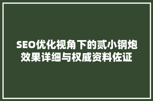 SEO优化视角下的贰小钢炮效果详细与权威资料佐证