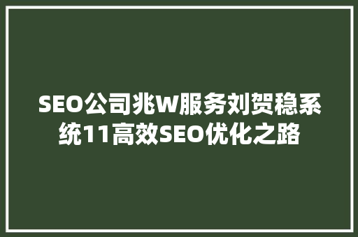SEO公司兆W服务刘贺稳系统11高效SEO优化之路