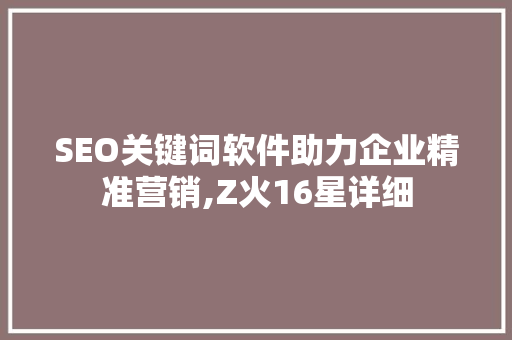 SEO关键词软件助力企业精准营销,Z火16星详细