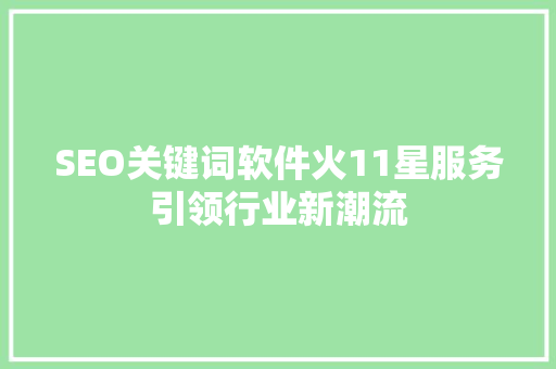 SEO关键词软件火11星服务引领行业新潮流