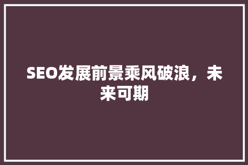 SEO发展前景乘风破浪，未来可期