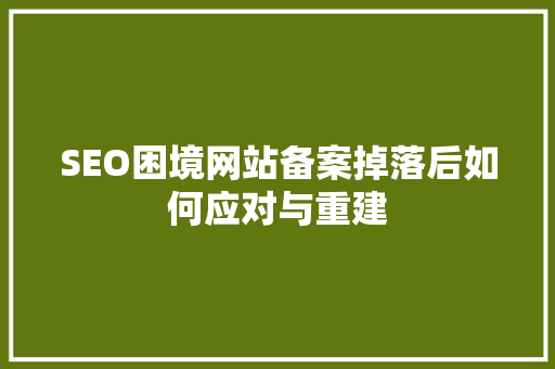 SEO困境网站备案掉落后如何应对与重建