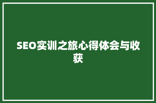 SEO实训之旅心得体会与收获