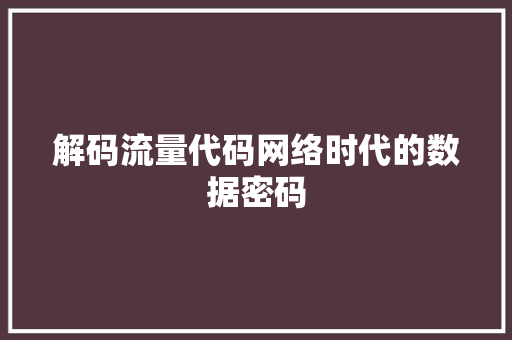 解码流量代码网络时代的数据密码