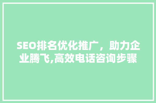 SEO排名优化推广，助力企业腾飞,高效电话咨询步骤