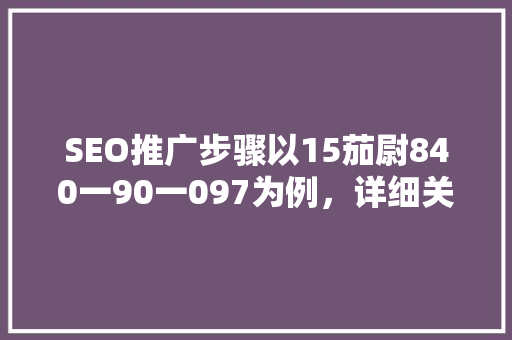 SEO推广步骤以15茄尉840一90一097为例，详细关键词布局与优化