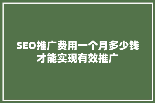 SEO推广费用一个月多少钱才能实现有效推广